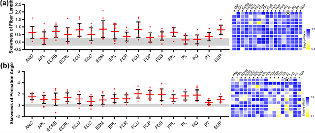 Figure 1 for Farthest Streamline Sampling for the Uniform Distribution of Forearm Muscle Fiber Tracts from Diffusion Tensor Imaging