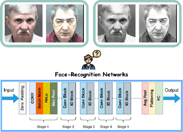 Figure 1 for Our Deep CNN Face Matchers Have Developed Achromatopsia