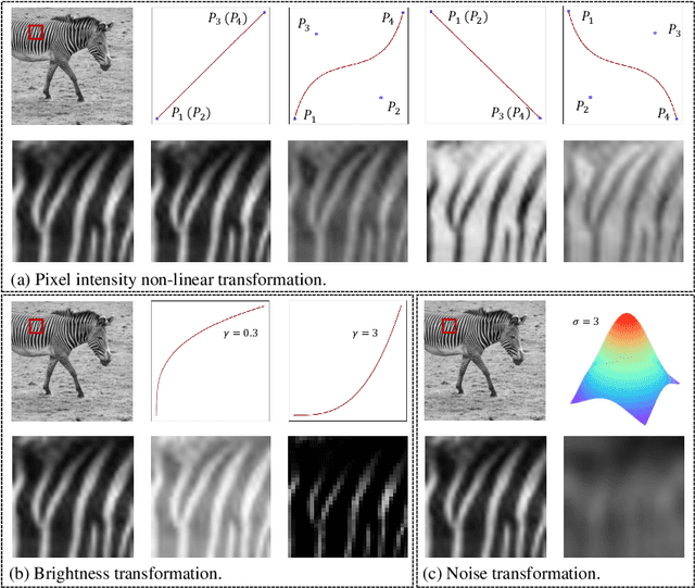 Figure 3 for TransFuse: A Unified Transformer-based Image Fusion Framework using Self-supervised Learning