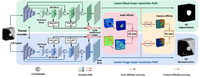 Figure 2 for Scale-aware Super-resolution Network with Dual Affinity Learning for Lesion Segmentation from Medical Images