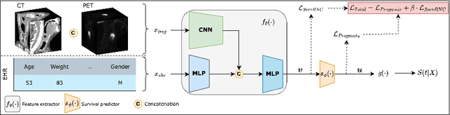 Figure 1 for SurvRNC: Learning Ordered Representations for Survival Prediction using Rank-N-Contrast