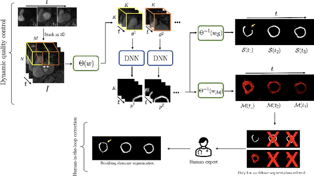 Figure 1 for Temporal Uncertainty Localization to Enable Human-in-the-loop Analysis of Dynamic Contrast-enhanced Cardiac MRI Datasets