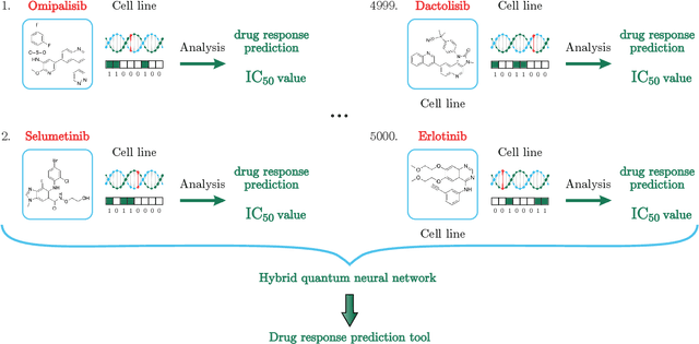 Figure 1 for Hybrid quantum neural network for drug response prediction