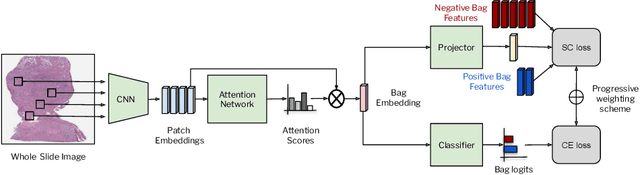 Figure 1 for SC-MIL: Supervised Contrastive Multiple Instance Learning for Imbalanced Classification in Pathology