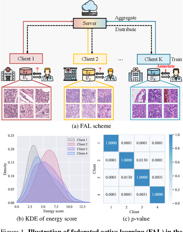 Figure 1 for Think Twice Before Selection: Federated Evidential Active Learning for Medical Image Analysis with Domain Shifts