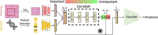 Figure 1 for Cross-modality Attention-based Multimodal Fusion for Non-small Cell Lung Cancer (NSCLC) Patient Survival Prediction