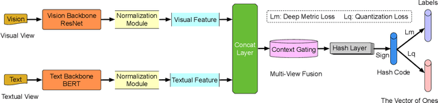 Figure 2 for Deep Metric Multi-View Hashing for Multimedia Retrieval