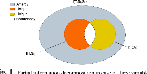 Figure 1 for More Synergy, Less Redundancy: Exploiting Joint Mutual Information for Self-Supervised Learning