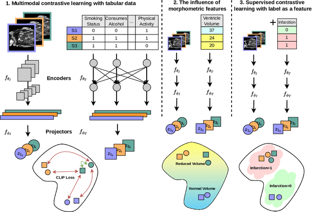 Figure 1 for Best of Both Worlds: Multimodal Contrastive Learning with Tabular and Imaging Data