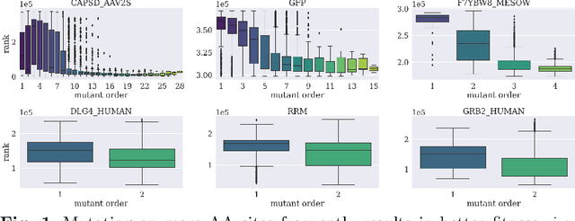 Figure 1 for Accurate and Definite Mutational Effect Prediction with Lightweight Equivariant Graph Neural Networks