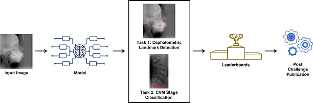 Figure 1 for CEPHA29: Automatic Cephalometric Landmark Detection Challenge 2023