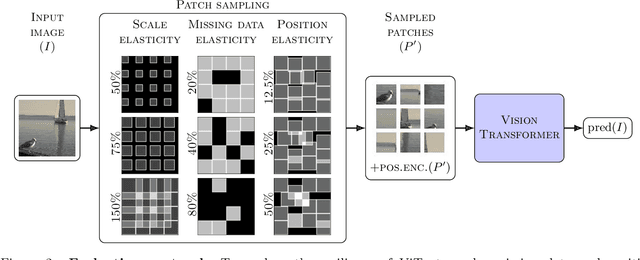 Figure 2 for Beyond Grids: Exploring Elastic Input Sampling for Vision Transformers