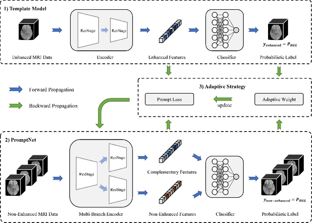 Figure 1 for Adaptive PromptNet For Auxiliary Glioma Diagnosis without Contrast-Enhanced MRI