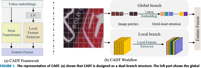 Figure 1 for Self-Supervised Image Denoising for Real-World Images with Context-aware Transformer