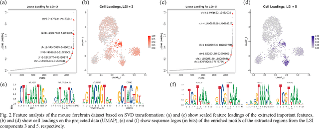 Figure 2 for Information retrieval in single cell chromatin analysis using TF-IDF transformation methods