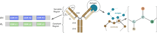 Figure 1 for AbODE: Ab Initio Antibody Design using Conjoined ODEs