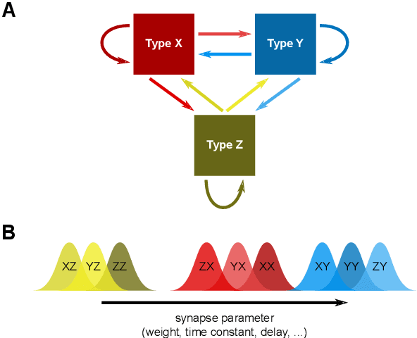 Figure 3 for Phenomenological modeling of diverse and heterogeneous synaptic dynamics at natural density