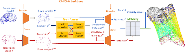 Figure 3 for Learning Feature Descriptors for Pre- and Intra-operative Point Cloud Matching for Laparoscopic Liver Registration