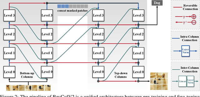 Figure 3 for RevColV2: Exploring Disentangled Representations in Masked Image Modeling