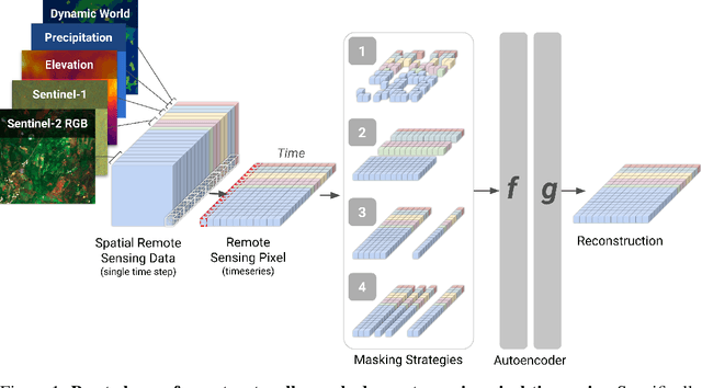 Figure 1 for Lightweight, Pre-trained Transformers for Remote Sensing Timeseries