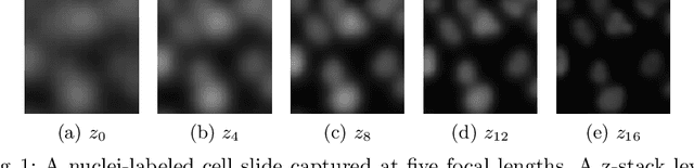 Figure 1 for Defocus Blur Synthesis and Deblurring via Interpolation and Extrapolation in Latent Space
