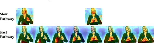 Figure 4 for SlowFast Network for Continuous Sign Language Recognition