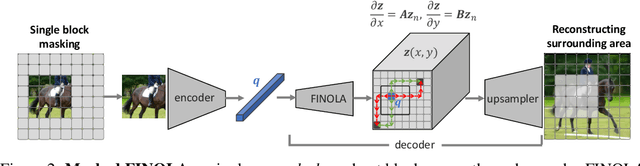 Figure 2 for Image is First-order Norm+Linear Autoregressive