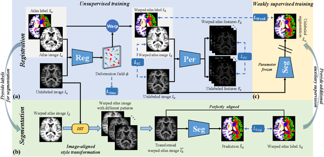 Figure 1 for Robust One-shot Segmentation of Brain Tissues via Image-aligned Style Transformation