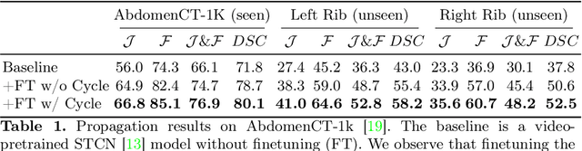 Figure 1 for Exploring Cycle Consistency Learning in Interactive Volume Segmentation