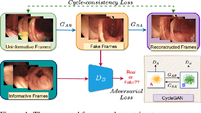 Figure 1 for Can Adversarial Networks Make Uninformative Colonoscopy Video Frames Clinically Informative?