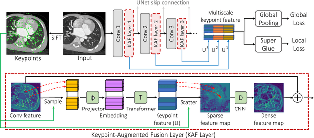 Figure 1 for Keypoint-Augmented Self-Supervised Learning for Medical Image Segmentation with Limited Annotation