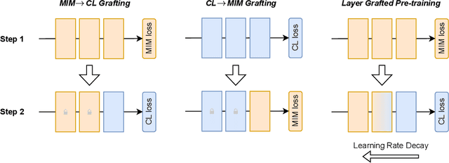 Figure 3 for Layer Grafted Pre-training: Bridging Contrastive Learning And Masked Image Modeling For Label-Efficient Representations