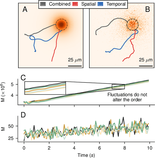 Figure 2 for Learning optimal integration of spatial and temporal information in noisy chemotaxis