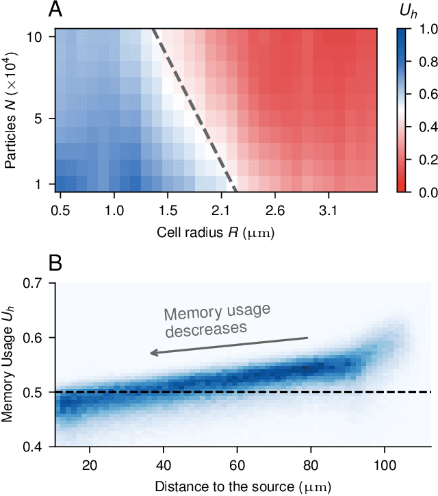 Figure 4 for Learning optimal integration of spatial and temporal information in noisy chemotaxis