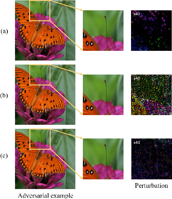 Figure 1 for Imperceptible Adversarial Attack via Invertible Neural Networks