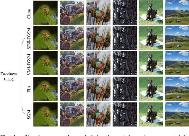 Figure 1 for Fuzziness-tuned: Improving the Transferability of Adversarial Examples