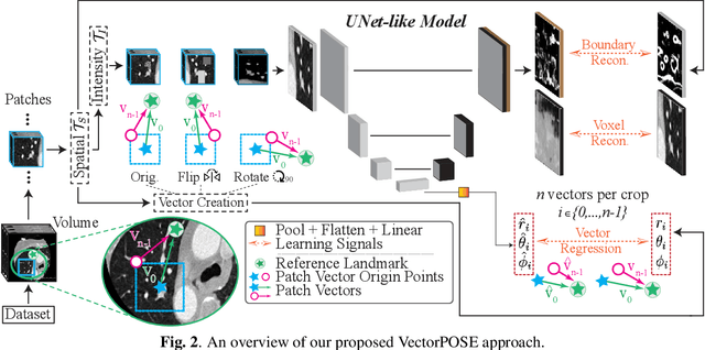 Figure 3 for A Point in the Right Direction: Vector Prediction for Spatially-aware Self-supervised Volumetric Representation Learning