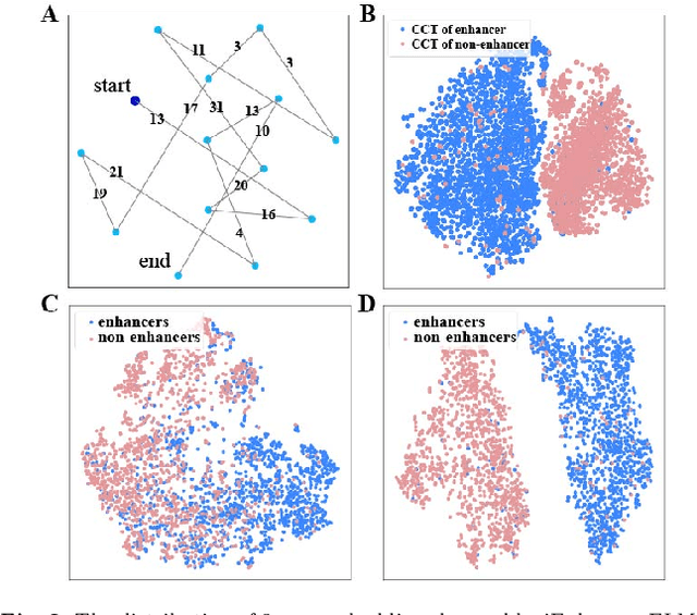 Figure 3 for iEnhancer-ELM: Improve Enhancer Identification by Extracting Multi-scale Contextual Information based on Enhancer Language Models