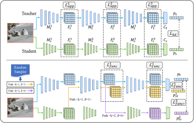 Figure 2 for Function-Consistent Feature Distillation