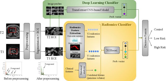Figure 1 for Radiomics Boosts Deep Learning Model for IPMN Classification