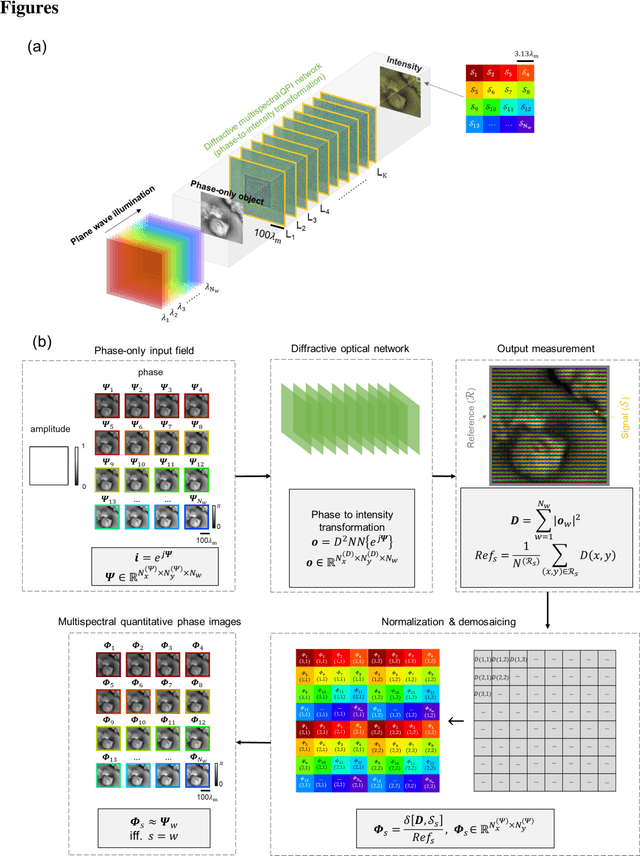 Figure 1 for Multispectral Quantitative Phase Imaging Using a Diffractive Optical Network