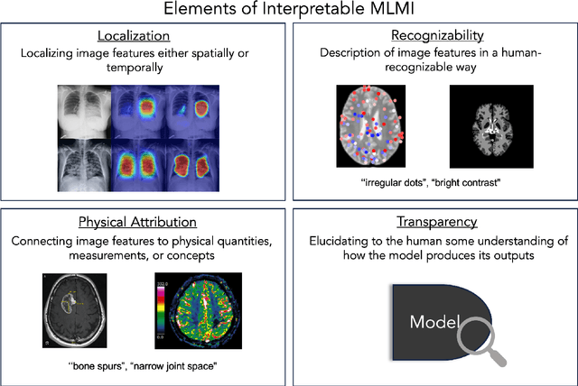 Figure 2 for A Framework for Interpretability in Machine Learning for Medical Imaging