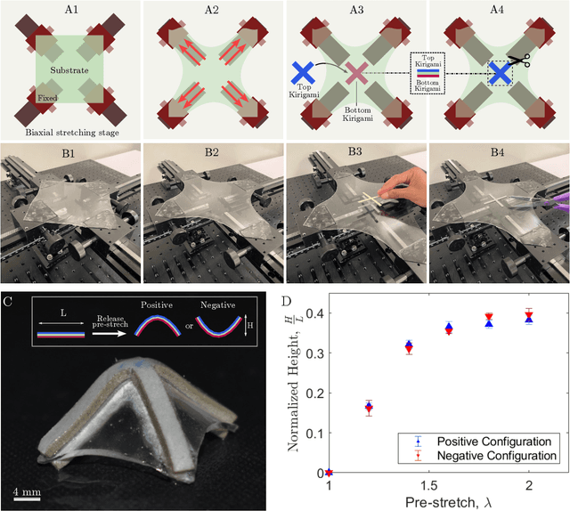 Figure 2 for Design of Bistable Soft Deployable Structures via a Kirigami-inspired Planar Fabrication Approach
