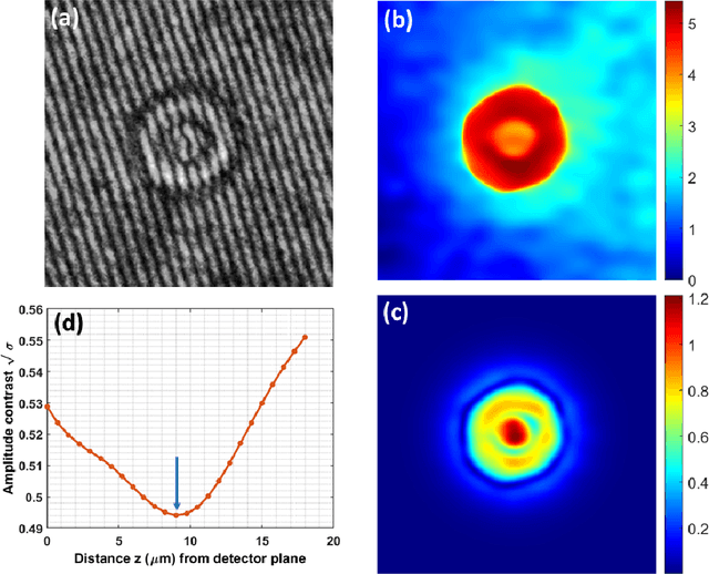 Figure 2 for 3D Reconstruction of unstained cells from a single defocused hologram