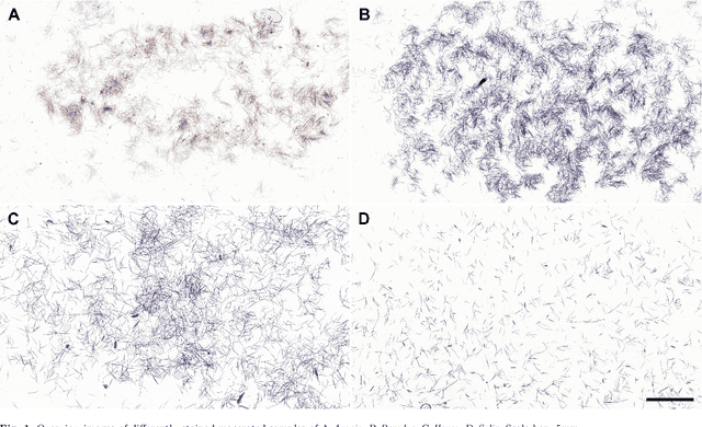 Figure 1 for Automating Wood Species Detection and Classification in Microscopic Images of Fibrous Materials with Deep Learning