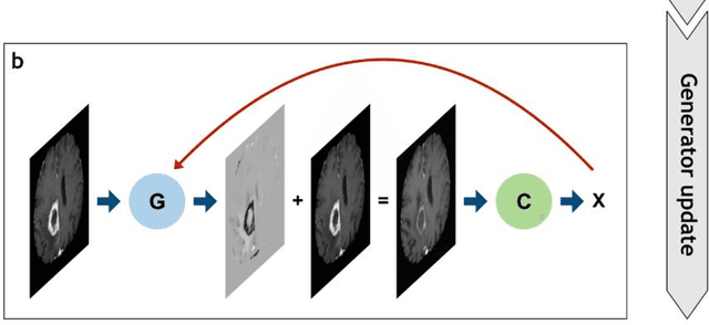 Figure 4 for 'A net for everyone': fully personalized and unsupervised neural networks trained with longitudinal data from a single patient