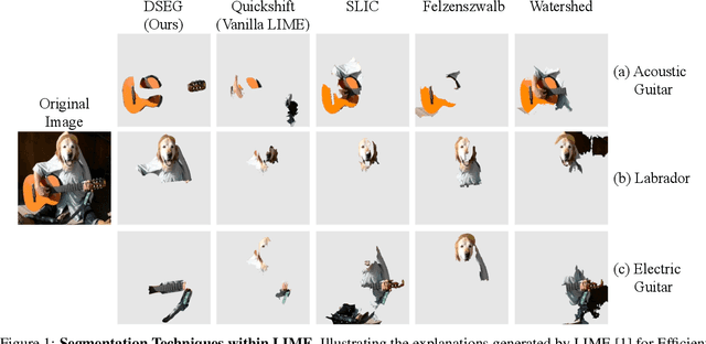 Figure 1 for DSEG-LIME - Improving Image Explanation by Hierarchical Data-Driven Segmentation
