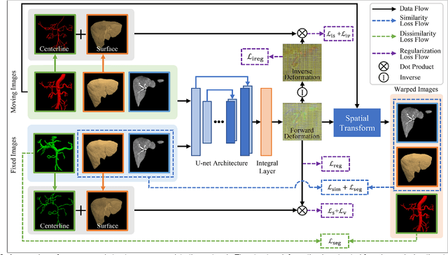 Figure 2 for Structure-aware registration network for liver DCE-CT images