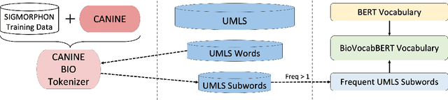 Figure 2 for Biomedical Language Models are Robust to Sub-optimal Tokenization