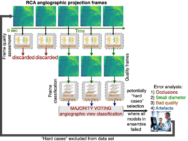 Figure 3 for Neural network-based coronary dominance classification of RCA angiograms